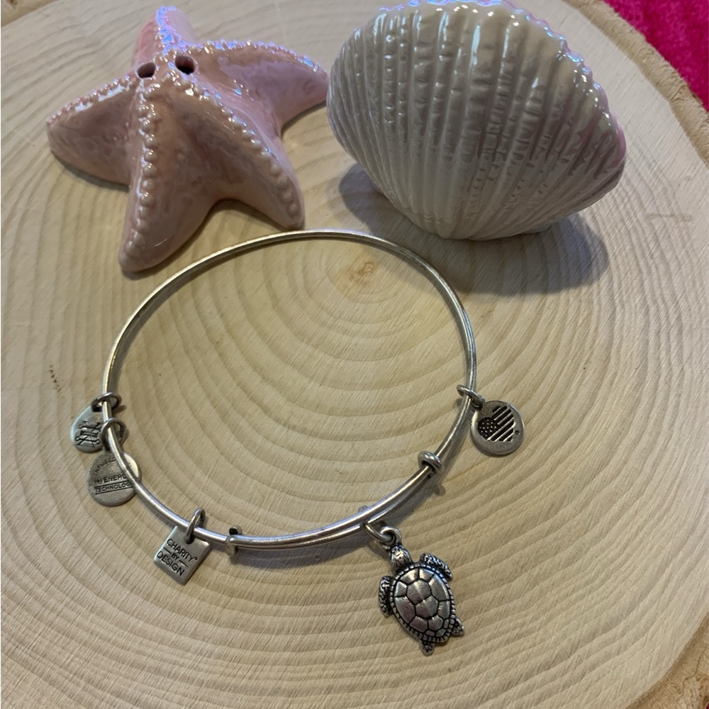 Alex and Ani Silver Turtle Charm Bangle